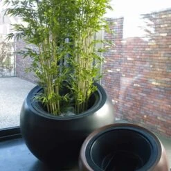 Jardinière Boule Maximo Papi - 580 L Avec Ou Sans Contre Bac -Aco || Spax || Fila Soldes Magasin jardiniere boule maximo papi 580 l avec ou sans contre bac 4