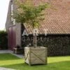 Jardinière En Bois Populus G Collstrop 2 Jardinière En Bois Populus G Collstrop -Aco || Spax || Fila Soldes Magasin jardiniere en bois populus g collstrop