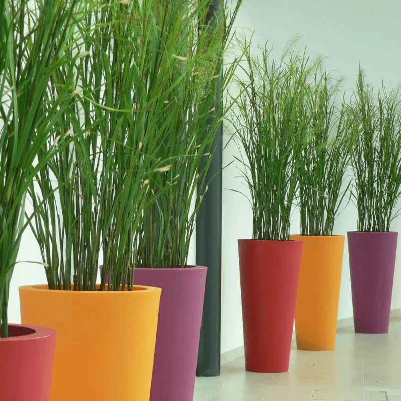 Pot Design Rond Papi - 60L, 115L, 190L Ou 500L 4 Pot Design Rond Papi - 60L, 115L, 190L Ou 500L – Image 2